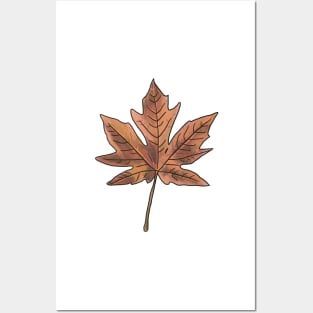 Maple Leaf Posters and Art